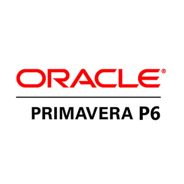Oracle-Primavera-P6-800-600x600-1